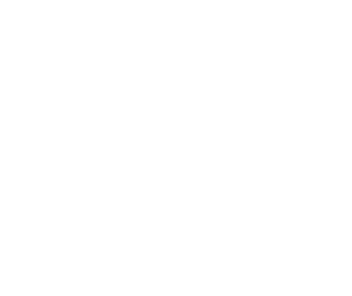 Logo Big Brother VIP