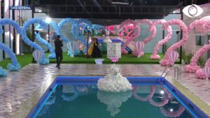 Është një vajzë! Armaldo mëson për herë të parë gjininë e fëmijës