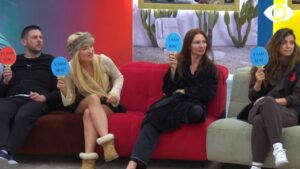 E kam bërë, Se kam bërë/ Kam kërkuar të bëj sex në Big Brother